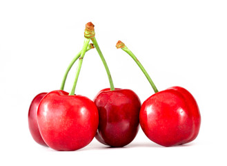 red sweet cherries on white background