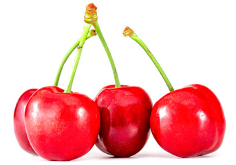 red sweet cherries on white background