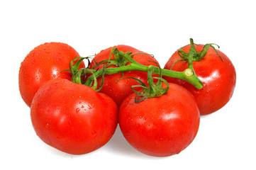 Tomatoes isolated on white background