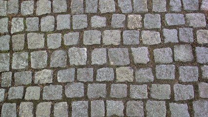 Mosaic road pavers of gray quadrangular stones