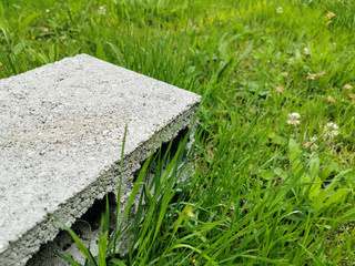 abandoned concrete brick in the middle of a green lawn