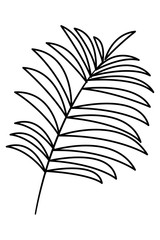 Tropical palm leaf nature cartoon in black and white