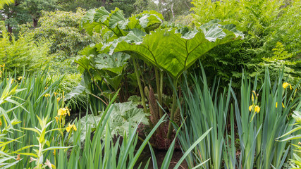 Secret garden © darek34