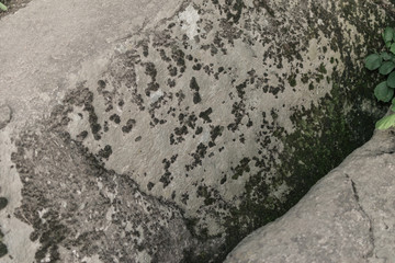 Large boulders, stone overgrown in the forest.