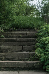 Old stone steps in the forest.