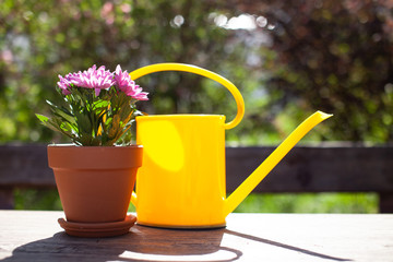 Close up of Gardening tools on the wooden table. Village view. Landscape. Still life. Flower in a pot and watering can...