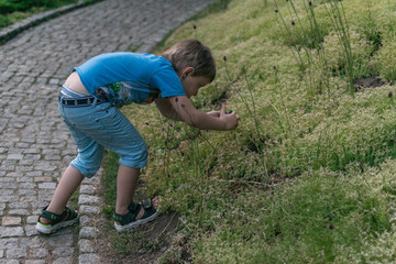 A little boy takes pictures of the grass.