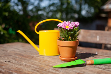 Close up of Gardening tools on the wooden table. Village view. Landscape. Still life. Flower in a pot and watering can.
