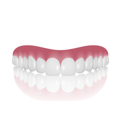 Vector 3d Realistic Render Denture Closeup Isolated on White Background. Dentistry and Orthodontics Design. Human Teeth for Medical and Toothpaste Concept. Healthy Oral Hygiene, Jaw Prosthesis