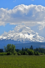 Snow covered Stratovolcano and clouds , Mount Hood, Oregon 