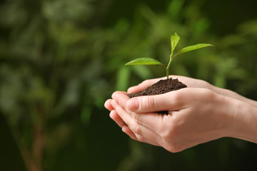 Fototapeta na wymiar Woman holding pile of soil and seedling on blurred background, closeup. Space for text