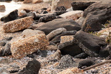 mixed bunch of rocks on beach