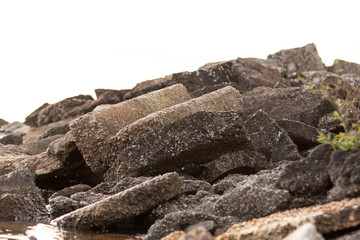 rocks white background
