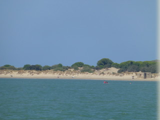 Fototapeta na wymiar National Park of Doñana. Huelva. Analusia,Spain
