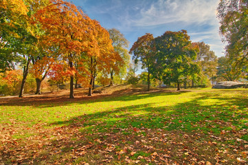 Naklejka premium Central Park, New York