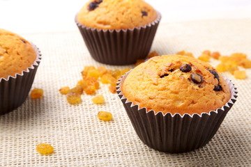 Assorted with Delicious homemade cupcakes with raisins and chocolate isolated on textile background. Muffins. Top view.