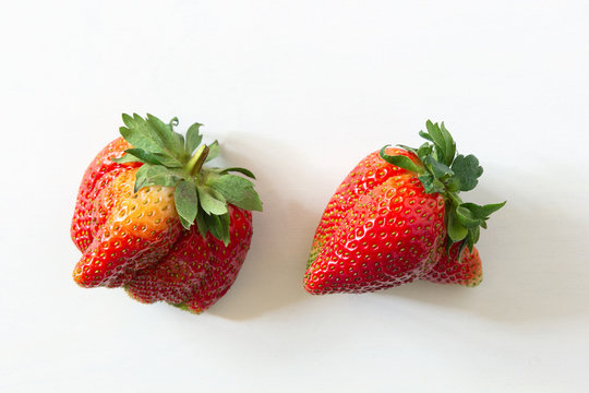 Ugly Organic Home Grown Strawberries On White Wood Background. Strange Funny Imperfect Fruits And Vegetables, Misshapen Produce, Food Waste Concept. Top View, Copy Space.