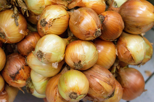 Cebolla amarilla