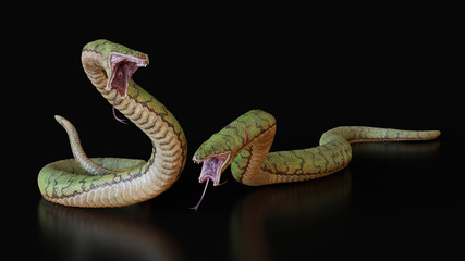 Two snakes.3d illustration