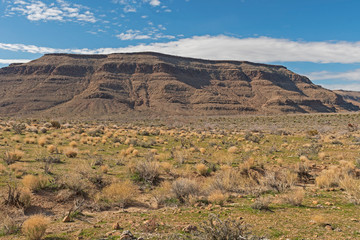 Arid Landscape in the High Desert