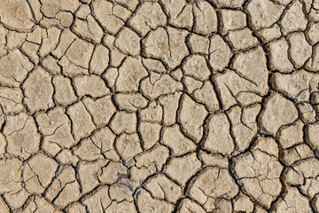 Brown dry soil or cracked ground texture background.