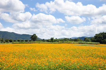Gyeongju Historic Areas is an ancient tomb from the Silla Dynasty.
