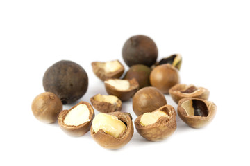 Macadamia fruit isolated on the white background