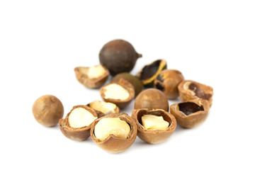 Macadamia fruit isolated on the white background