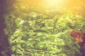 abstract water background, blurred green colour stream of water.