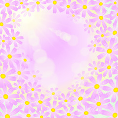 ピンク色のコスモスの花　太陽光とレンズフレア　真四角　