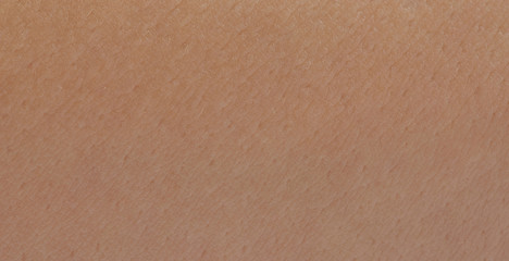 Flat brown human skin texture