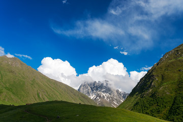 Mountain valley at sunny summer day. Caucasus, Georgia