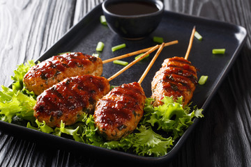 Tsukune (Japanese chicken meatballs) grilled close-up on a plate. horizontal