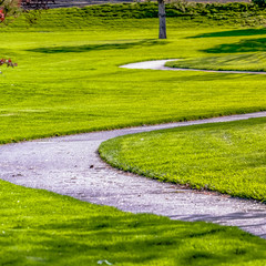 Square Pathway curving amid a lush field with young colorful trees on a sunny day