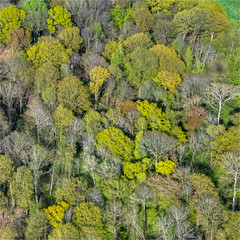 vue aérienne d'une forêt à Arhiès dans le Val d'Oise en France