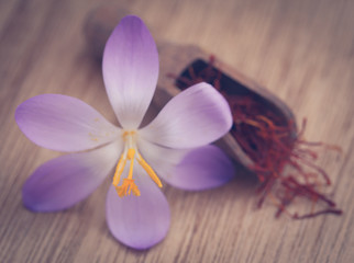 Saffron with crocus flower