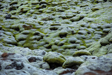 Eldhraun lava field in Iceland
