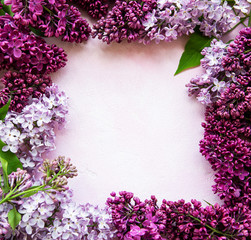 Lilac spring flowers border