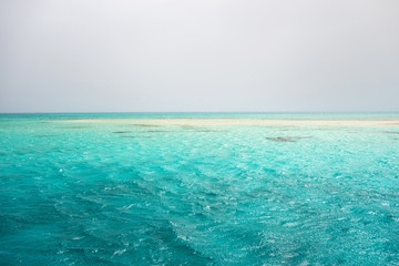 Red sea White Island Sea Seashore Sharm el Sheikh, Africa Egypt.