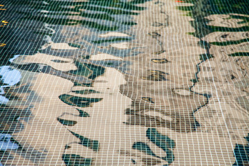 Patterns mosaic tile background in swimming pool.