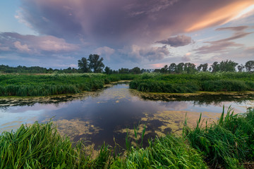 Sunset on the banks of a small river. Summer landscape.