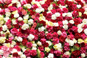 Pretty Roses in a Red, White and Pink mixed flowers