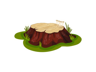 Low brown stump in the meadow. Vector illustration on white background.