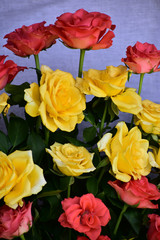 Pretty Roses in a Red, White and Pink mixed flowers