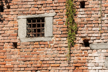 Detail of a medieval brick wall with a window with wrought iron bars and a creeper plant, Italy, Europe
