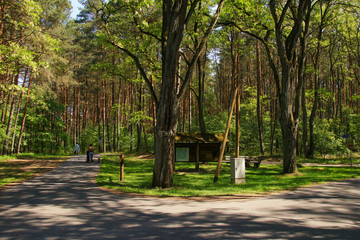 Mueritz National Park, hiking in Wesenberg, Mecklenburg Western Pomerania - Germany