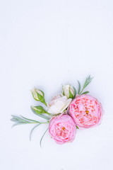 Floral arrangement, web banner with pink English roses, ranunculus, carnation flowers and green leaves on white table background. Flat lay, top view. Wedding or birthday styled stock photography.