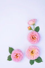Floral arrangement, web banner with pink English roses, ranunculus, carnation flowers and green leaves on white table background. Flat lay, top view. Wedding or birthday styled stock photography.