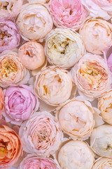 garlic, rose, food, roses, flower, bouquet, pink, vegetable, flowers, white, love, fresh, nature, wedding, floral, beautiful, spice, organic, pattern, market, bunch, red, petal, bulb, natural
