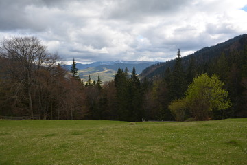 Ukraine, Carpathians, Synevirskaya glade, Synevir